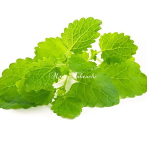 lemonbalm