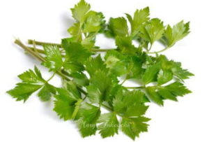 celery1