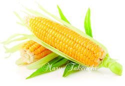 cornsilk9